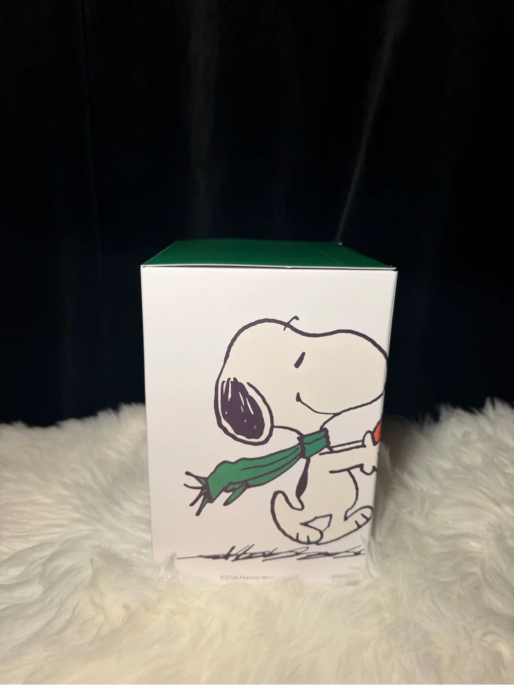 Starbucks Peanuts Snoopy Plush & Fall Tumbler Set